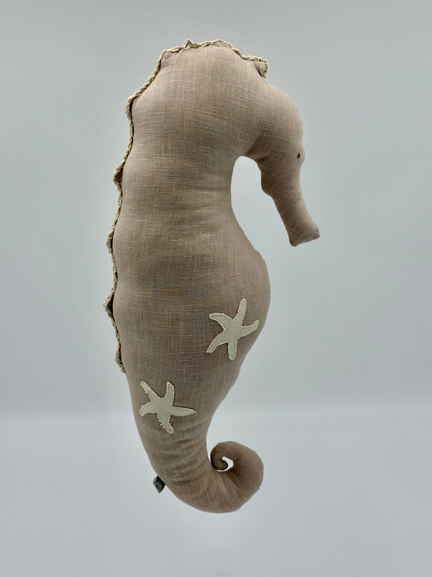 CABALLITO DE MAR – UN PEDACITO DE MAR ENTRE LAS MANOS