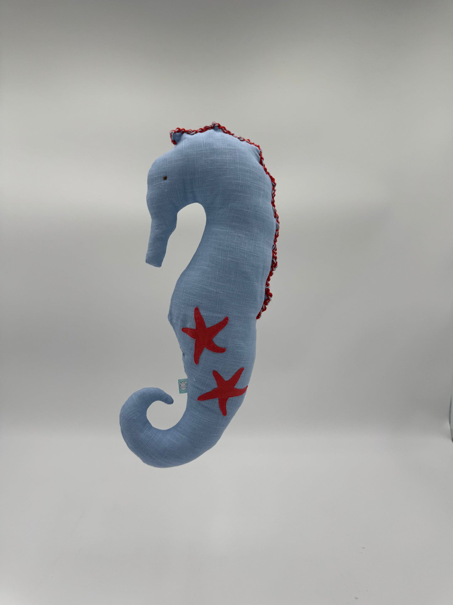 CABALLITO DE MAR PEQUEÑO – UN TESORO MARINO A TU ALCANCE
