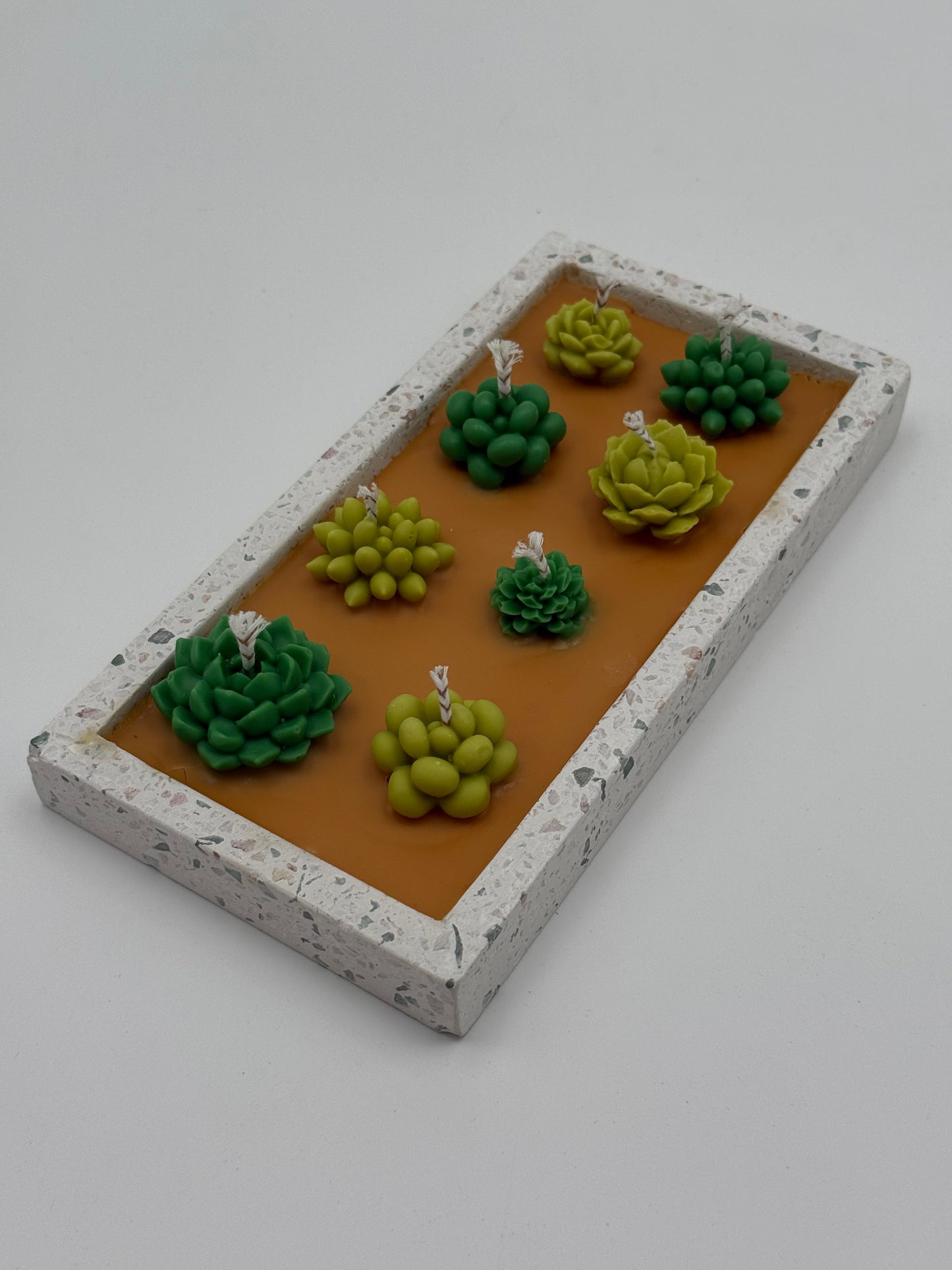 COMPOSICIÓN DE JARDÍN DE CACTUS