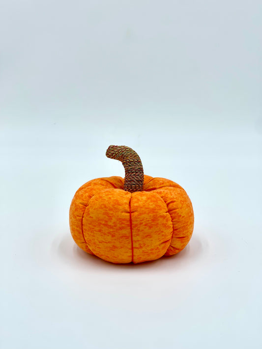 CALABAZA NARANJA DE LINO – TEXTURA, COLOR Y ENCANTO NATURAL